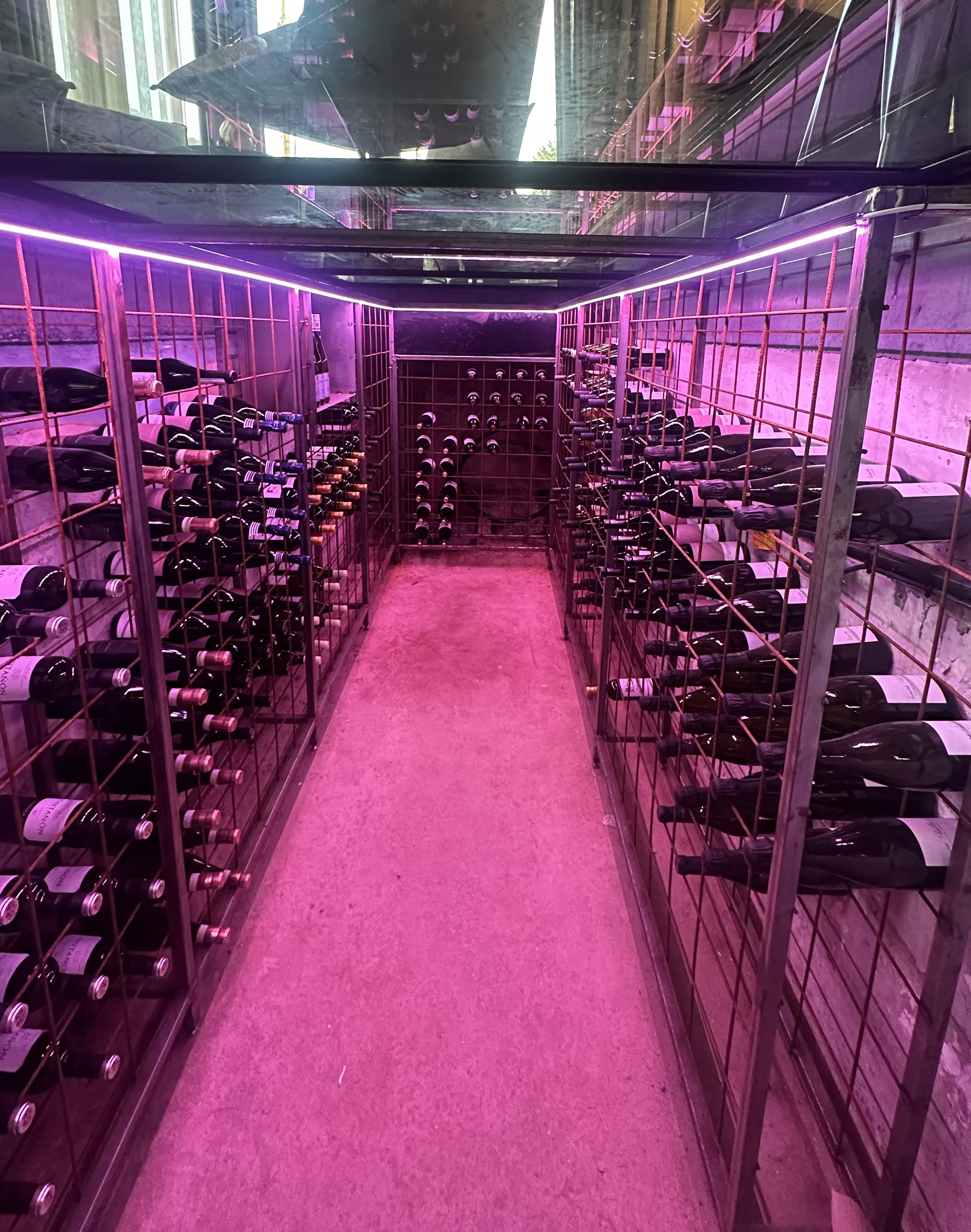 Inside Wine Cellar viewing glass floor and hatch above