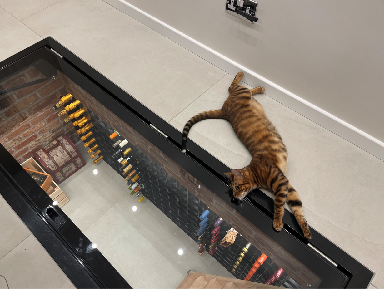 Walk on Glass Wine Storage Underground